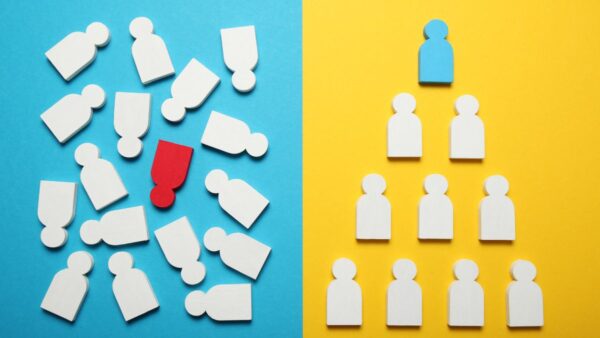 From Chaos to Clarity - How Management Consultants Bring Structure to Fast-Growing Companies