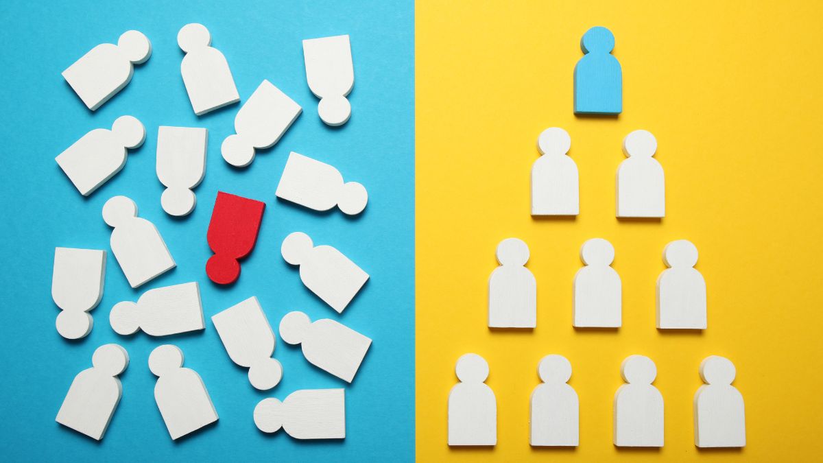 From Chaos to Clarity - How Management Consultants Bring Structure to Fast-Growing Companies